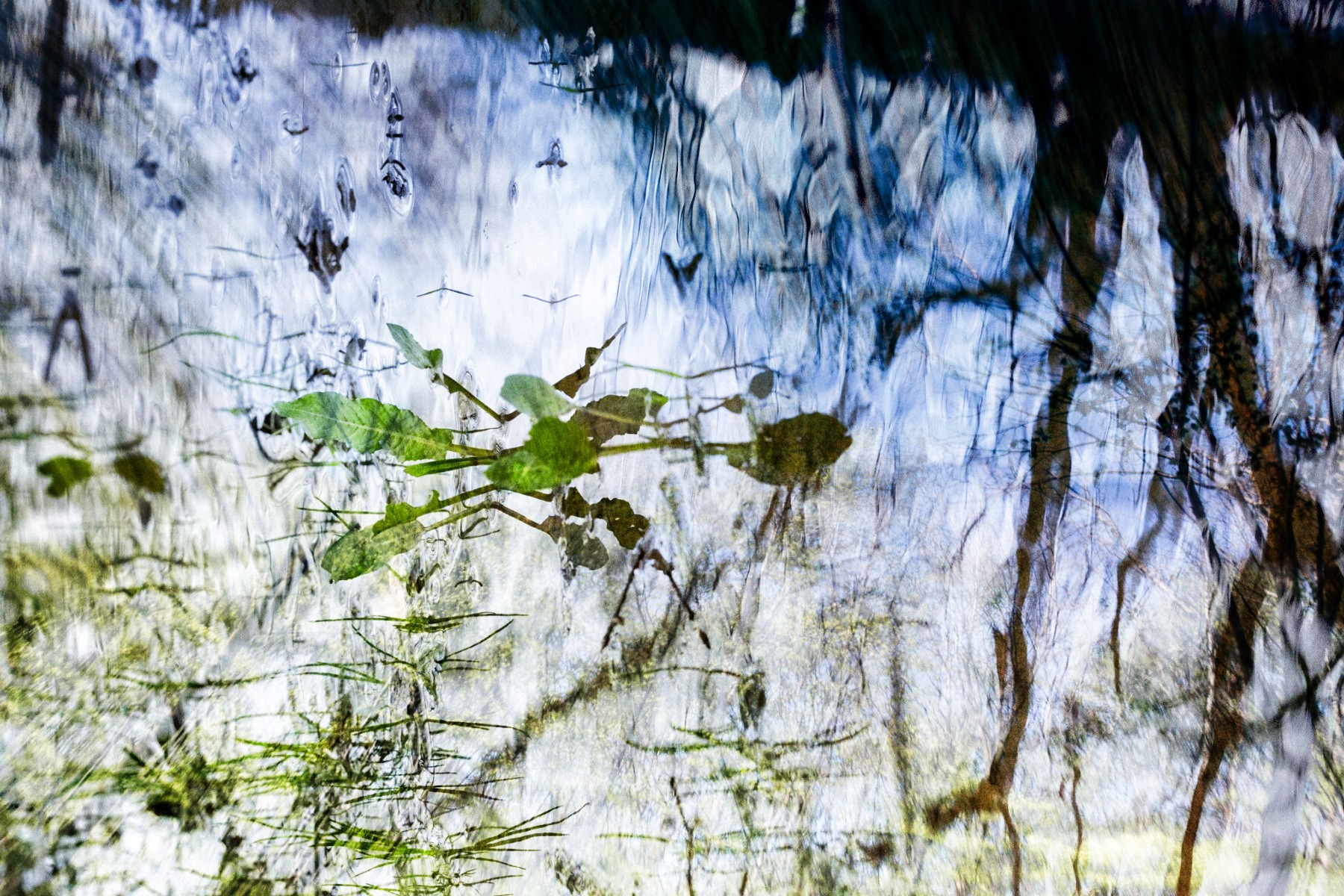 ImageSwapp 5