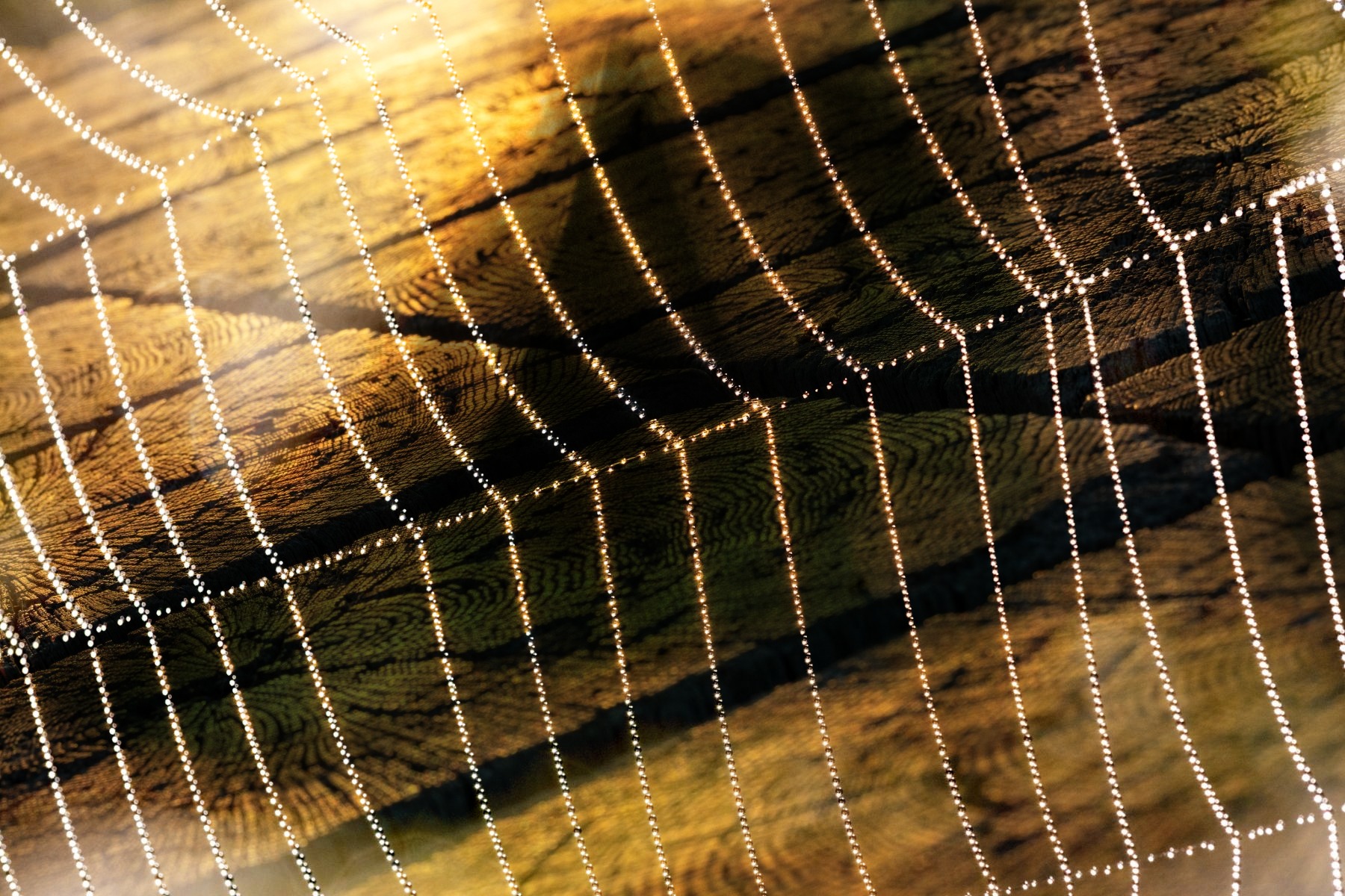 ImageSwapp 7
